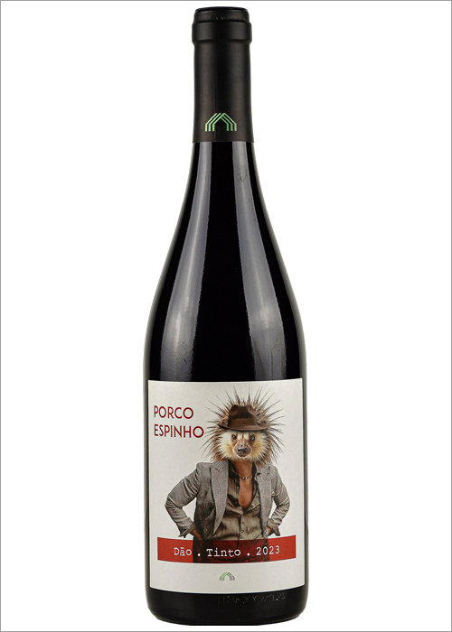 Porco Espinho 
